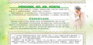 智慧森林 童装品牌新势力，携手远大恒通共创未来