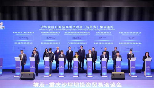 重庆沙坪坝投资贸易洽谈会成功举行，签约6个对非经贸合作项目助力信息咨询服务升级